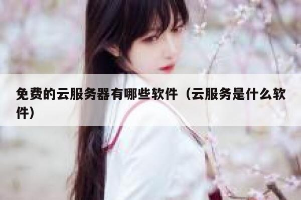 免费的云服务器有哪些软件（云服务是什么软件） 第1张