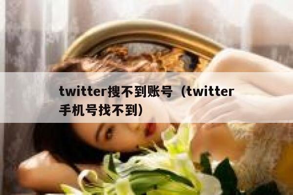 twitter搜不到账号(twitter手机号找不到) 第1张 twitter搜不到账号(twitter手机号找不到) 第1张