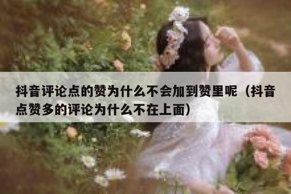 抖音评论点的赞为什么不会加到赞里呢(抖音点赞多的评论为什么不在上面) 第1张 抖音评论点的赞为什么不会加到赞里呢(抖音点赞多的评论为什么不在上面) 第1张