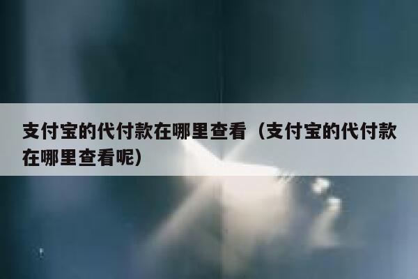 支付宝的代付款在哪里查看(支付宝的代付款在哪里查看呢) 第1张 支付宝的代付款在哪里查看(支付宝的代付款在哪里查看呢) 第1张