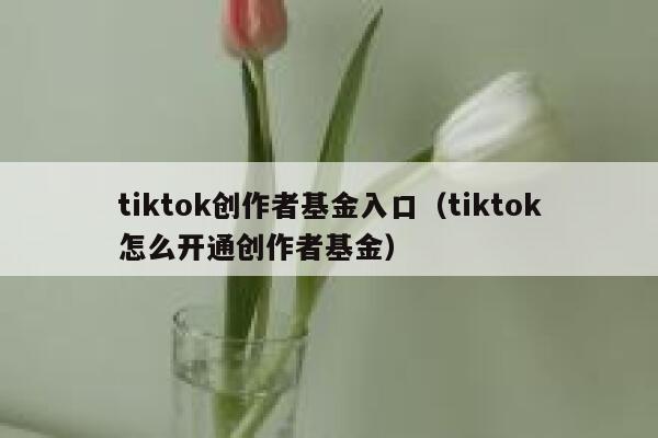 tiktok创作者基金入口（tiktok怎么开通创作者基金） 第1张