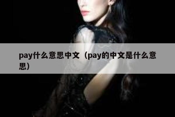 pay什么意思中文（pay的中文是什么意思） 第1张