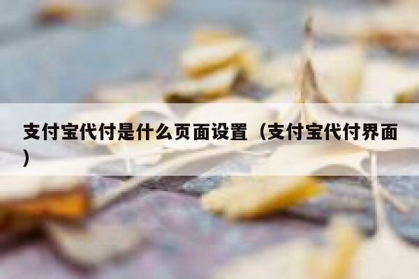 支付宝代付是什么页面设置（支付宝代付界面） 第1张