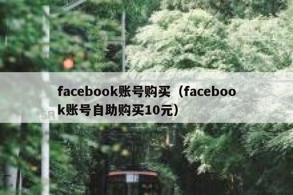facebook账号购买（facebook账号自助购买10元） 第1张