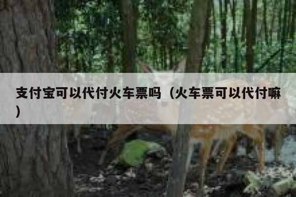 支付宝可以代付火车票吗(火车票可以代付嘛) 第1张 支付宝可以代付火车票吗(火车票可以代付嘛) 第1张