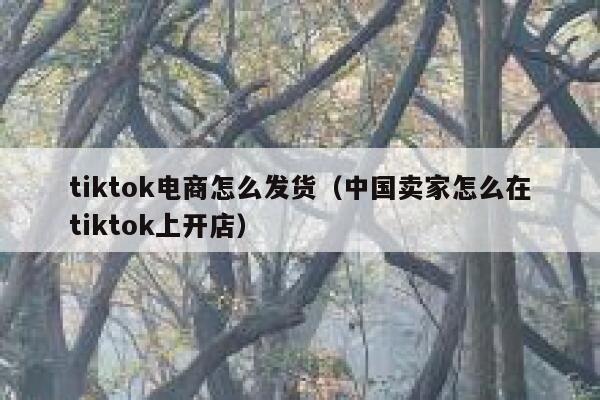 tiktok电商怎么发货（中国卖家怎么在tiktok上开店） 第1张