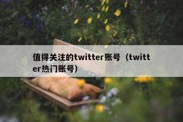 值得关注的twitter账号（twitter热门账号） 第1张
