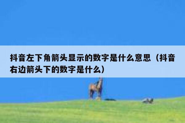 抖音左下角箭头显示的数字是什么意思（抖音右边箭头下的数字是什么） 第1张