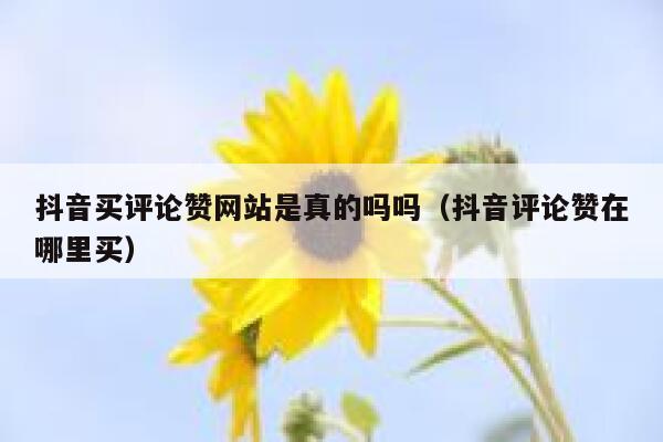 抖音买评论赞网站是真的吗吗（抖音评论赞在哪里买） 第1张