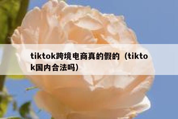 tiktok跨境电商真的假的（tiktok国内合法吗） 第1张