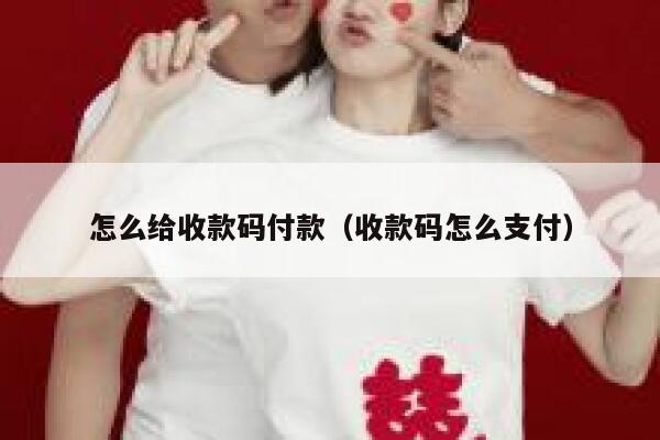 怎么给收款码付款（收款码怎么支付） 第1张
