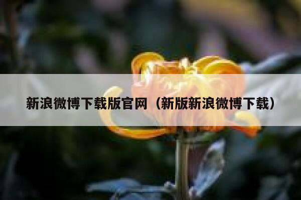 新浪微博下载版官网（新版新浪微博下载） 第1张
