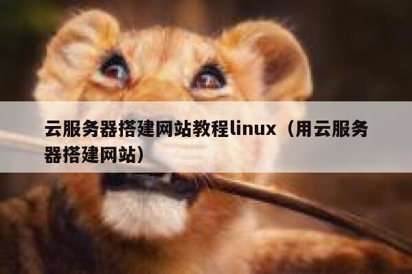 云服务器搭建网站教程linux（用云服务器搭建网站） 第1张