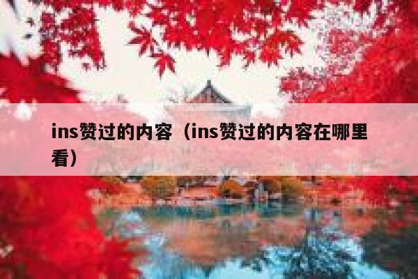 ins赞过的内容（ins赞过的内容在哪里看） 第1张