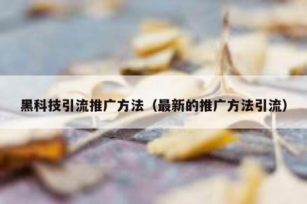 黑科技引流推广方法(最新的推广方法引流) 第1张 黑科技引流推广方法(最新的推广方法引流) 第1张