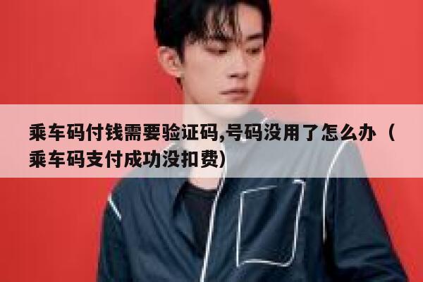 乘车码付钱需要验证码,号码没用了怎么办(乘车码支付成功没扣费) 第1张 乘车码付钱需要验证码,号码没用了怎么办(乘车码支付成功没扣费) 第1张