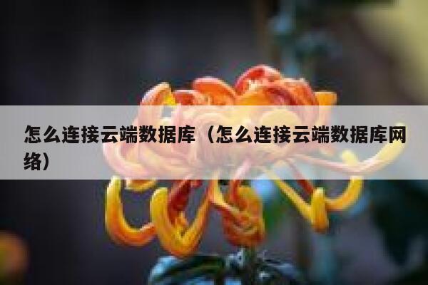 怎么连接云端数据库(怎么连接云端数据库网络) 第1张 怎么连接云端数据库(怎么连接云端数据库网络) 第1张