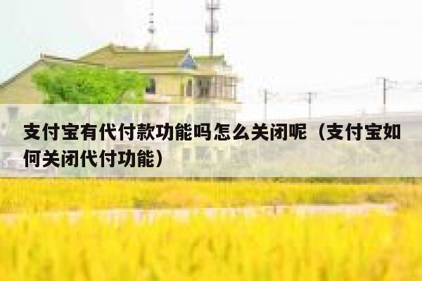 支付宝有代付款功能吗怎么关闭呢（支付宝如何关闭代付功能） 第1张
