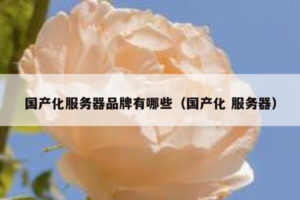 国产化服务器品牌有哪些（国产化 服务器） 第1张