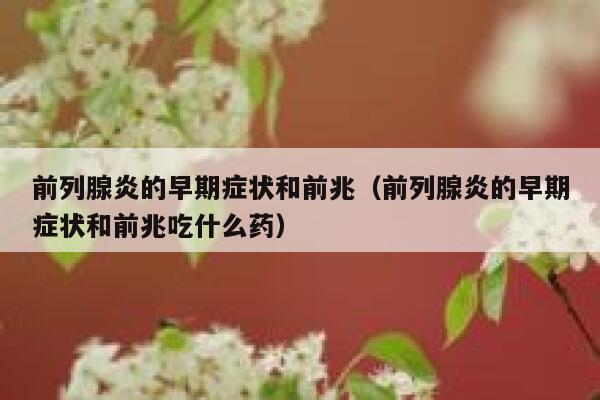 前列腺炎的早期症状和前兆（前列腺炎的早期症状和前兆吃什么药） 第1张