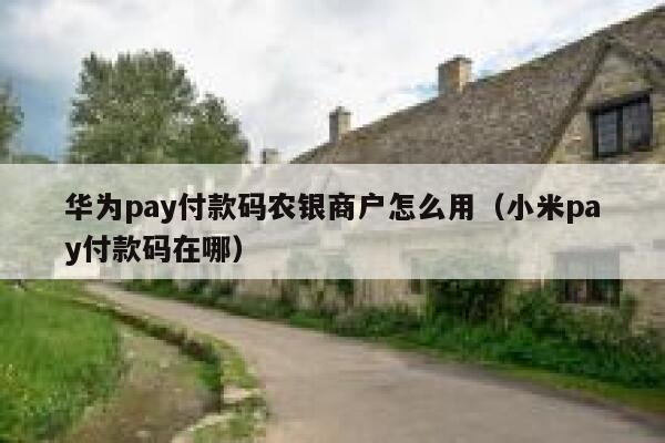 华为pay付款码农银商户怎么用（小米pay付款码在哪） 第1张