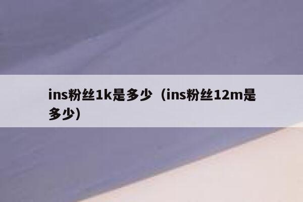 ins粉丝1k是多少（ins粉丝12m是多少） 第1张