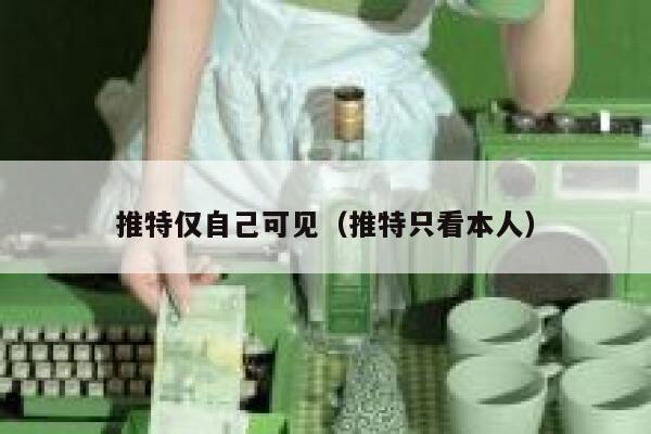 推特仅自己可见（推特只看本人） 第1张