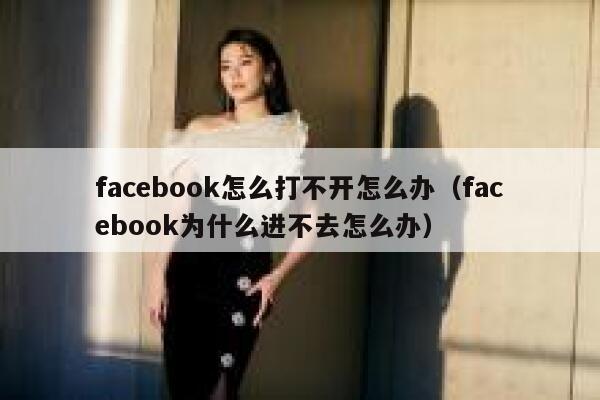 facebook怎么打不开怎么办（facebook为什么进不去怎么办） 第1张