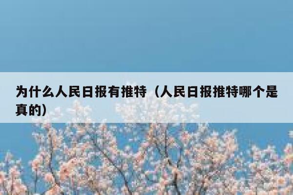 为什么人民日报有推特（人民日报推特哪个是真的） 第1张