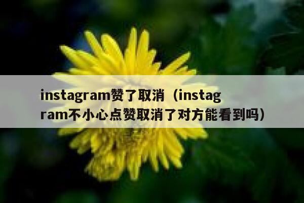 instagram赞了取消(instagram不小心点赞取消了对方能看到吗) 第1张 instagram赞了取消(instagram不小心点赞取消了对方能看到吗) 第1张