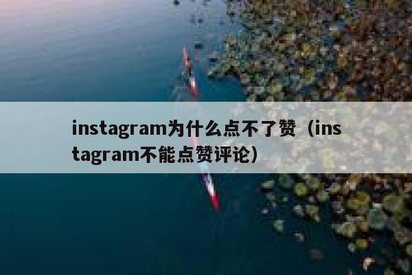 instagram为什么点不了赞（instagram不能点赞评论） 第1张