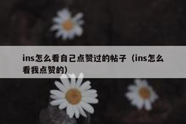 ins怎么看自己点赞过的帖子（ins怎么看我点赞的） 第1张