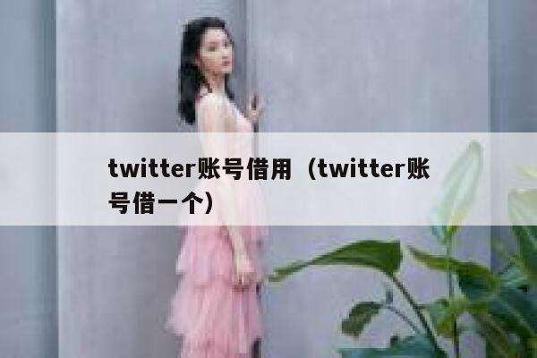 twitter账号借用（twitter账号借一个） 第1张