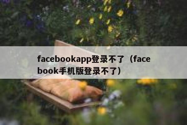 facebookapp登录不了（facebook手机版登录不了） 第1张