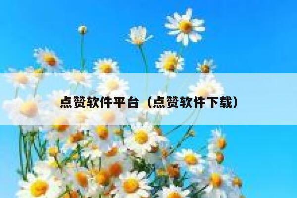 点赞软件平台(点赞软件下载) 第1张 点赞软件平台(点赞软件下载) 第1张