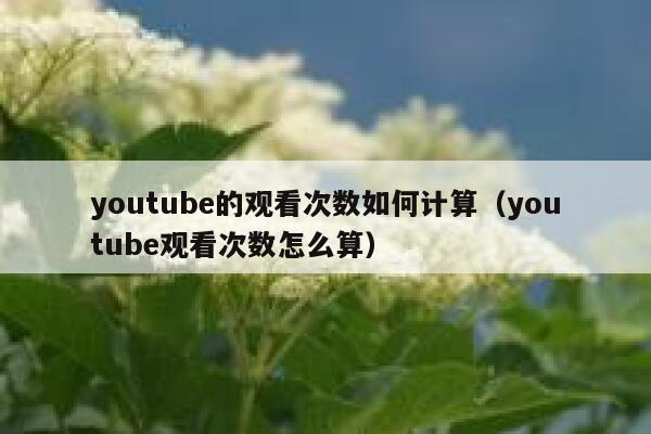 youtube的观看次数如何计算（youtube观看次数怎么算） 第1张