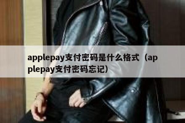 applepay支付密码是什么格式（applepay支付密码忘记） 第1张