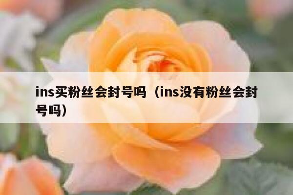 ins买粉丝会封号吗（ins没有粉丝会封号吗） 第1张