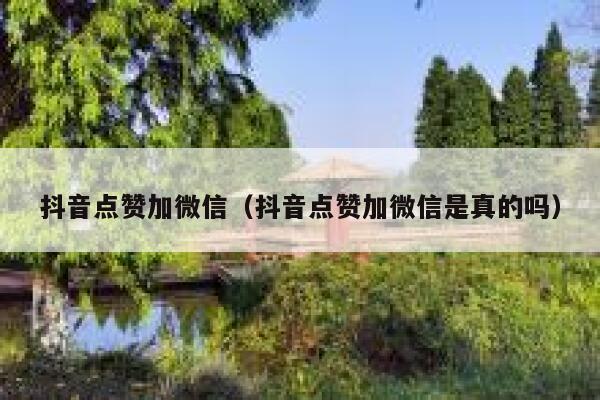 抖音点赞加微信（抖音点赞加微信是真的吗） 第1张