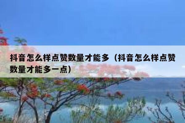 抖音怎么样点赞数量才能多（抖音怎么样点赞数量才能多一点） 第1张