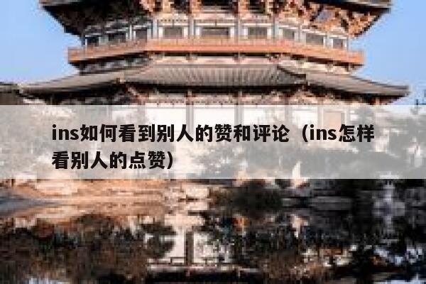 ins如何看到别人的赞和评论（ins怎样看别人的点赞） 第1张