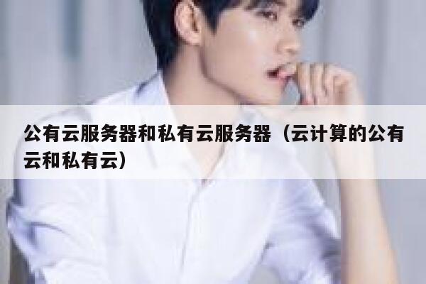 公有云服务器和私有云服务器(云计算的公有云和私有云) 第1张 公有云服务器和私有云服务器(云计算的公有云和私有云) 第1张