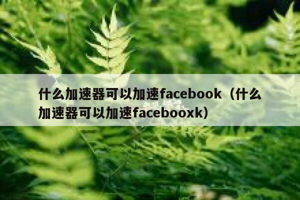 什么加速器可以加速facebook（什么加速器可以加速facebooxk） 第1张