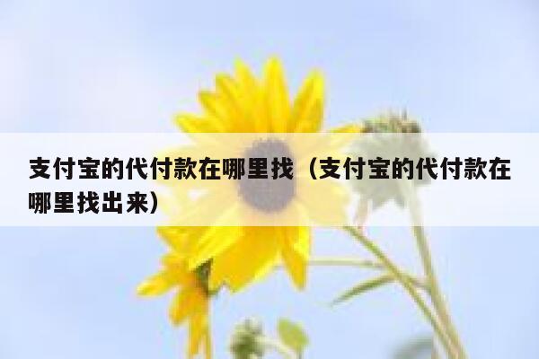 支付宝的代付款在哪里找（支付宝的代付款在哪里找出来） 第1张
