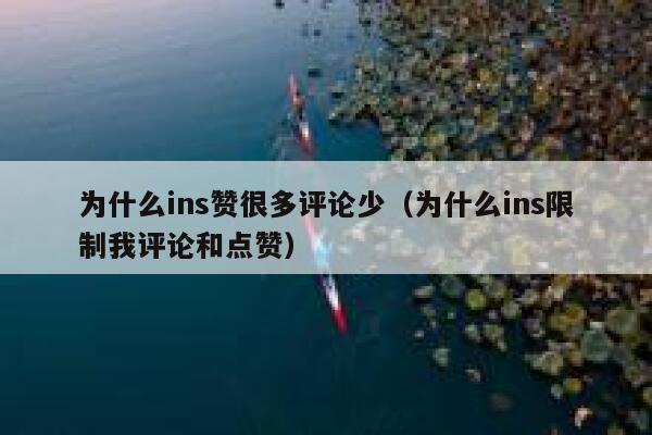 为什么ins赞很多评论少（为什么ins限制我评论和点赞） 第1张