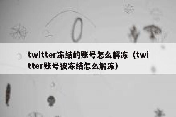 twitter冻结的账号怎么解冻(twitter账号被冻结怎么解冻) 第1张 twitter冻结的账号怎么解冻(twitter账号被冻结怎么解冻) 第1张