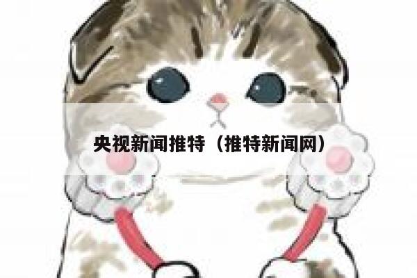 央视新闻推特（推特新闻网） 第1张