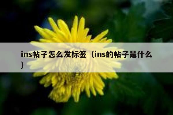 ins帖子怎么发标签(ins的帖子是什么) 第1张 ins帖子怎么发标签(ins的帖子是什么) 第1张