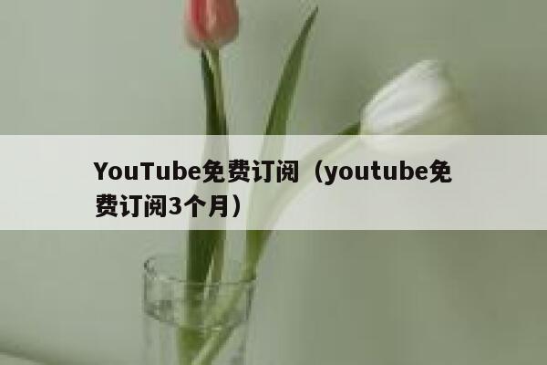 YouTube免费订阅（youtube免费订阅3个月） 第1张