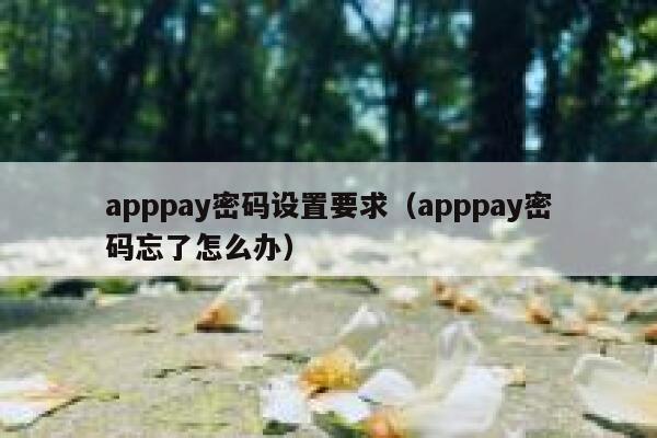 apppay密码设置要求（apppay密码忘了怎么办） 第1张